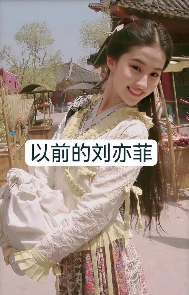刘亦菲美图
